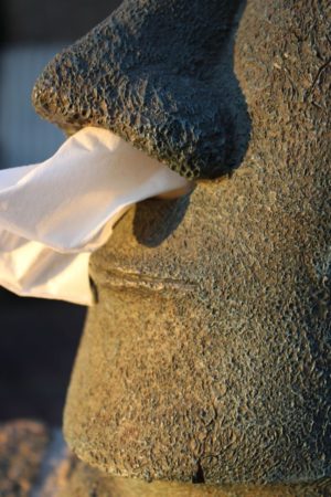 Dispensador de pañuelos Moai Isla de Pascua