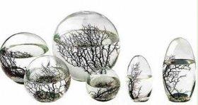 Ecoesfera - Vivir en una bola de cristal